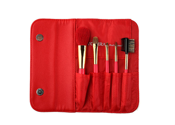 5pcs brush travel set with high-end quality