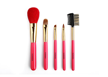 5pcs brush travel set with high-end quality